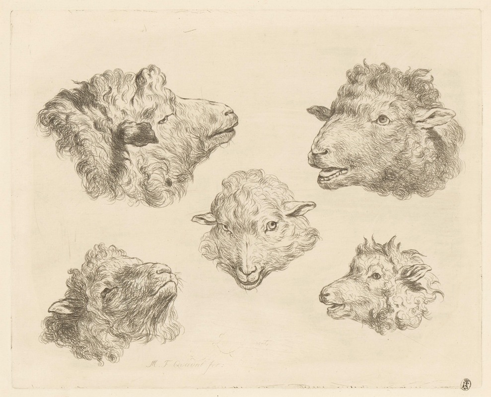 Martin Ferdinand Quadal - Five sheep heads