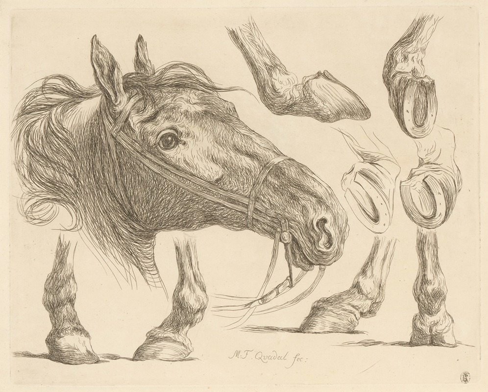 Martin Ferdinand Quadal - Horse head and hooves