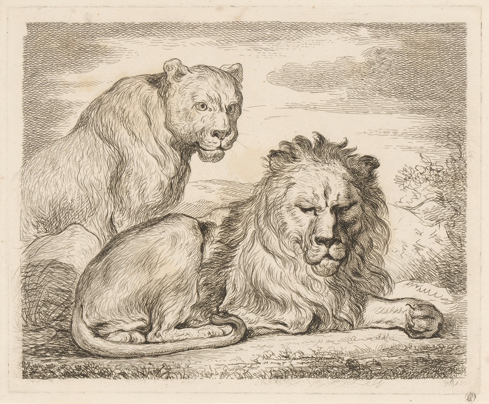 Martin Ferdinand Quadal - Lion and lioness