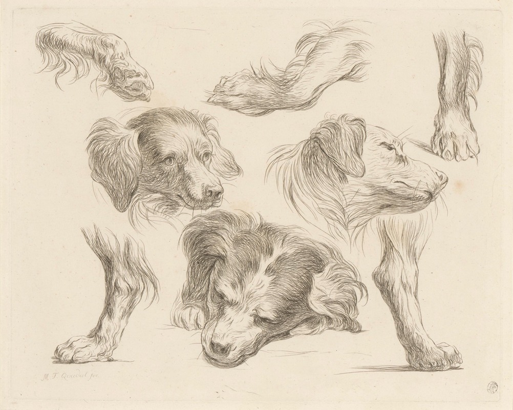 Martin Ferdinand Quadal - Three dog heads and paws