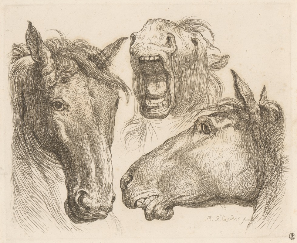 Martin Ferdinand Quadal - Three horse heads