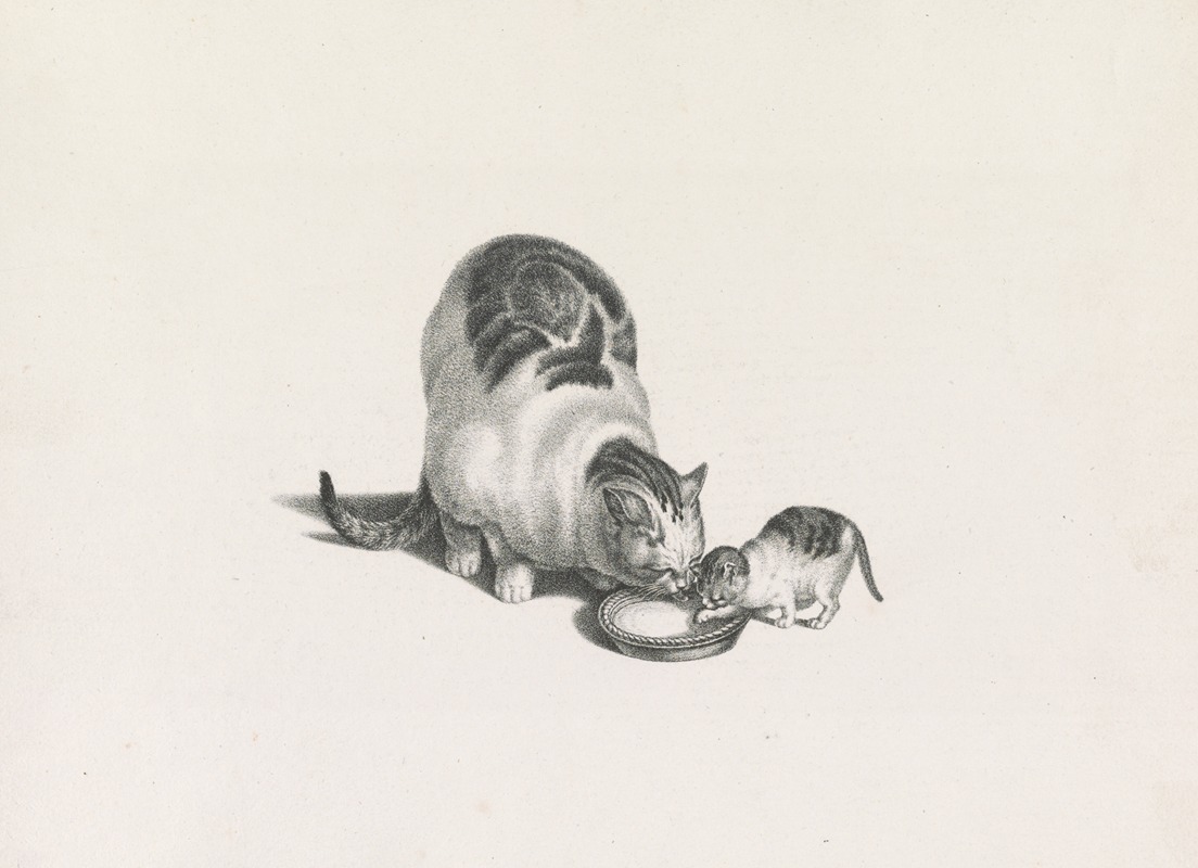 Joseph Brodtmann - Domestic cat and kitten drinking milk from a saucer