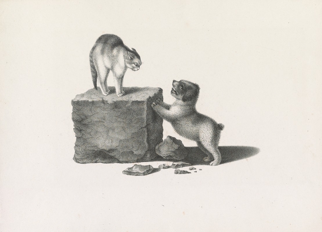 Joseph Brodtmann - Domestic cat standing on a block and a puppy with its front paws on the block