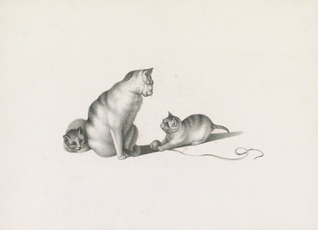 Joseph Brodtmann - Domestic cat with two kittens, one playing with a ball of string