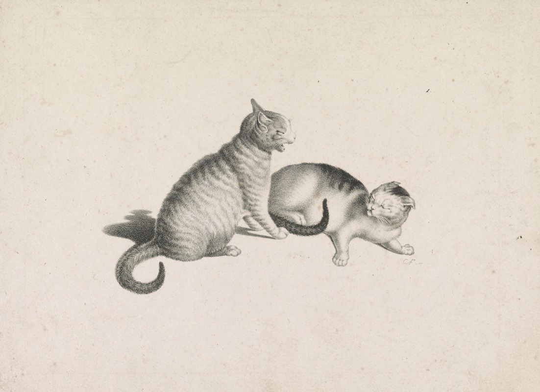 Joseph Brodtmann - Two domestic cats fighting