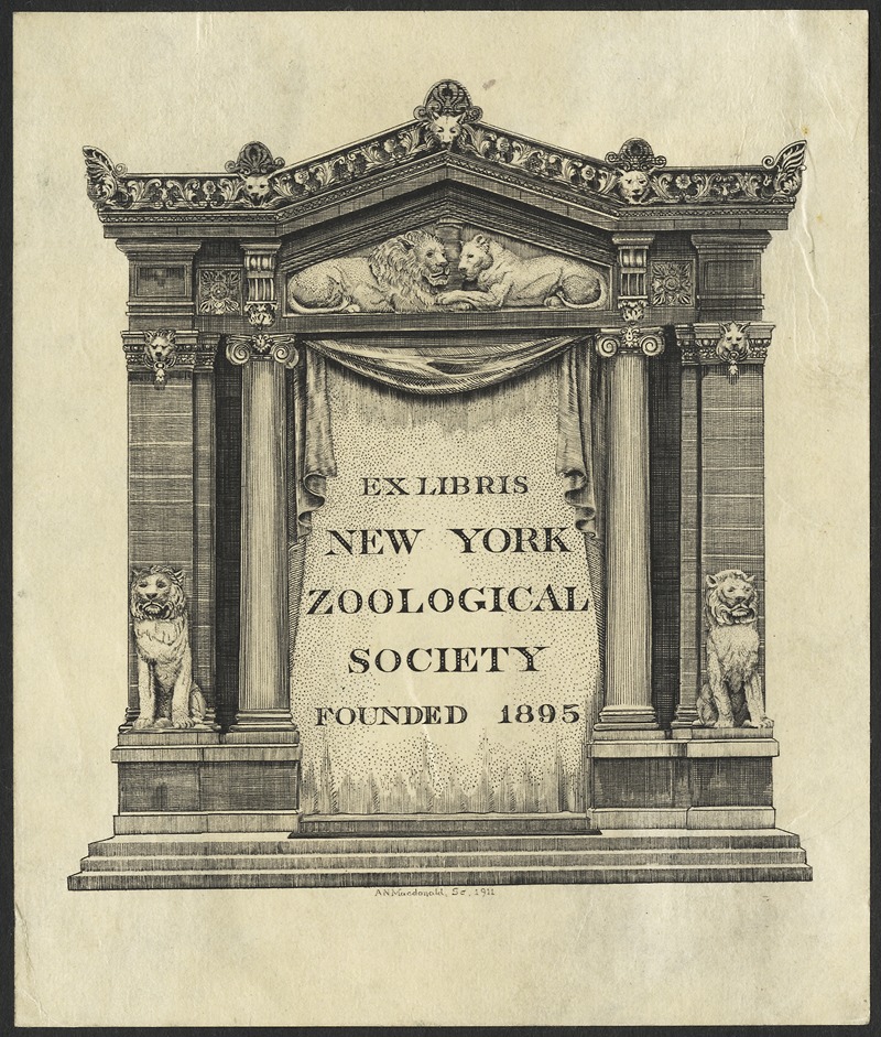 A. N. Macdonald - New York Zoological Society