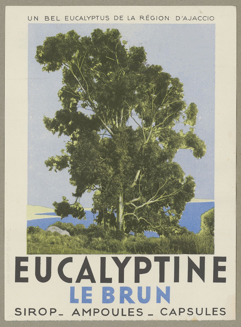 Anonymous - Eucalyptine Le Brun