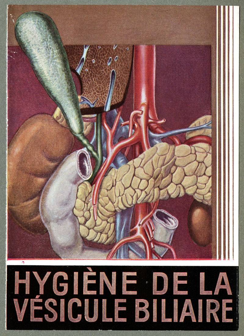 Anonymous - Hygiène de la vésicule biliaire