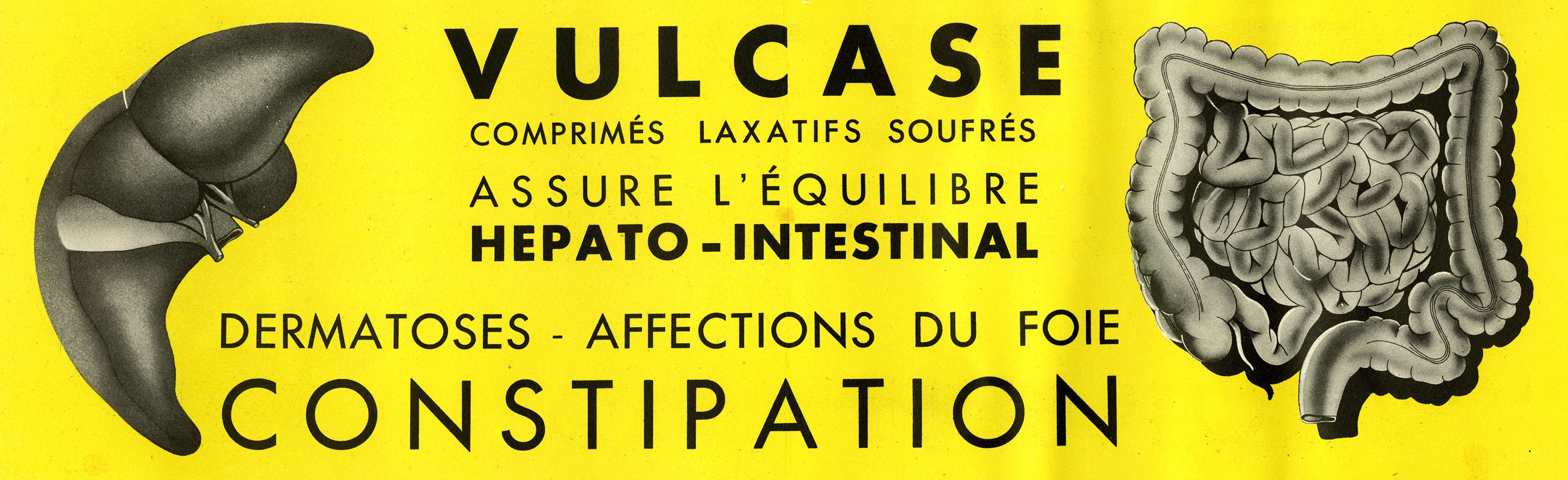 Laboratoires Brisson - Vulcase