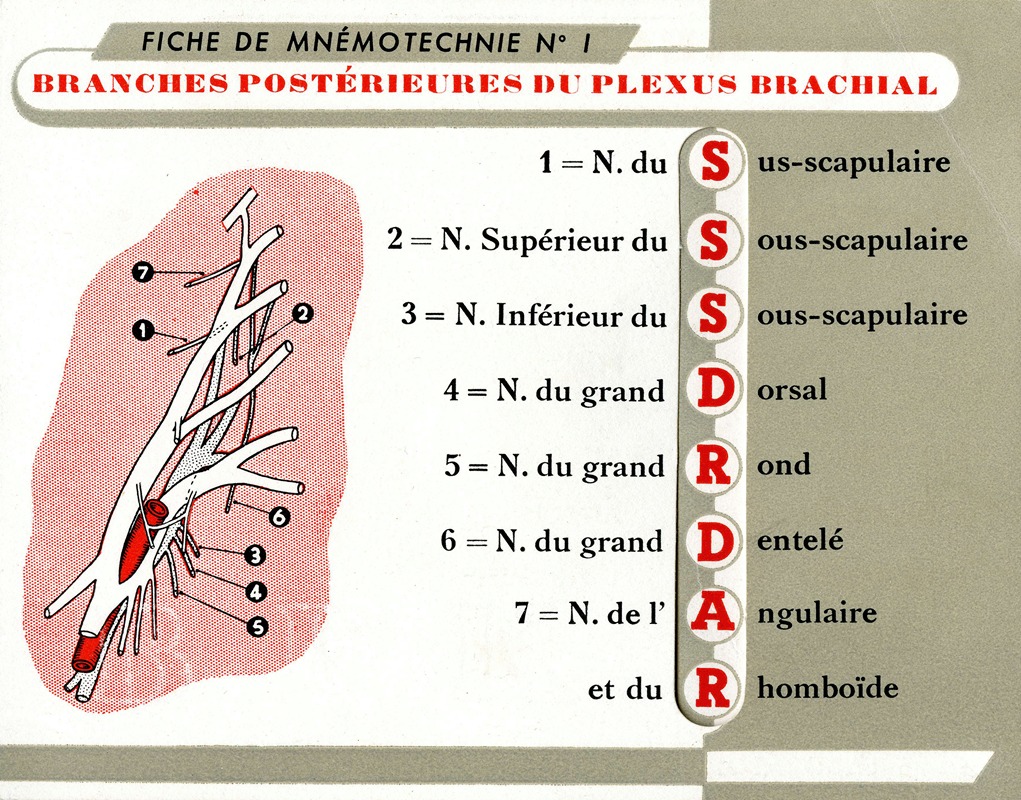 Laboratoires Derol - Fiche de mnémotechnie No.1