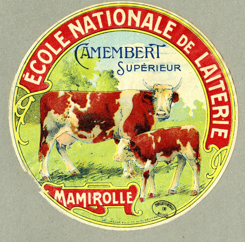 Ecole nationale d'industrie laitière - Camembert supérieur