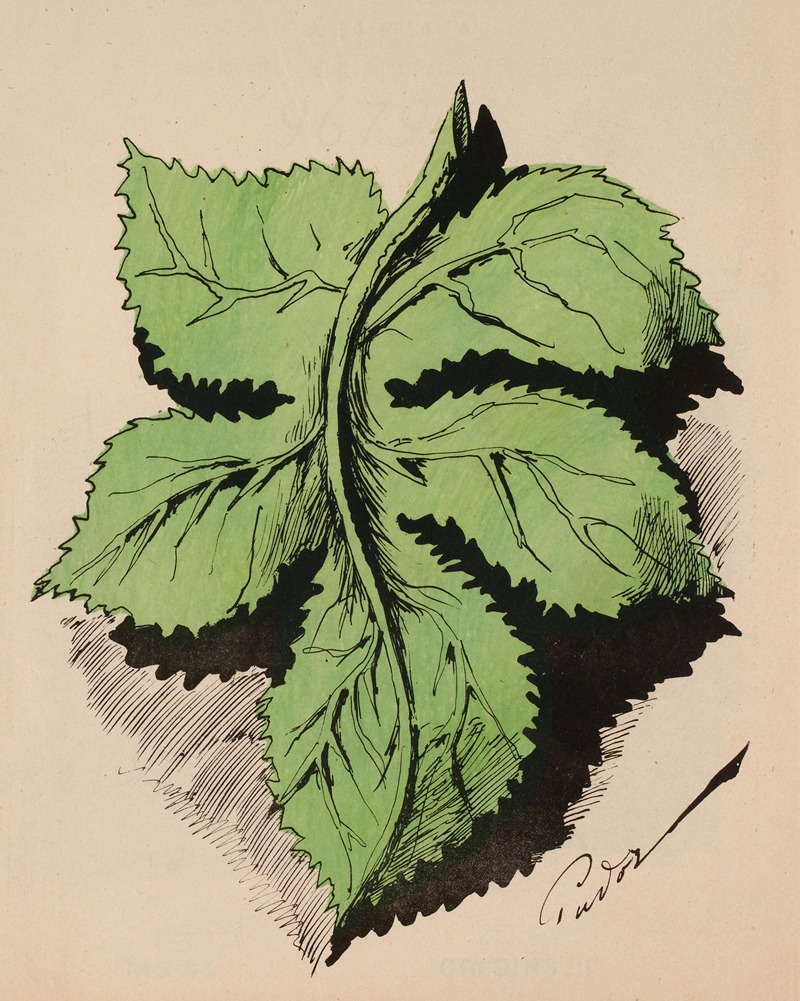 Faustin Betbeder - Feuille de vigne verte