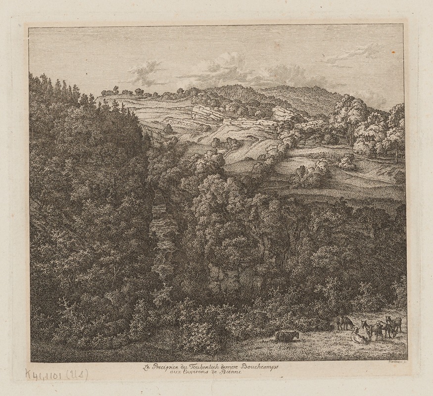 Johann Joseph Hartmann - Le Precipice du Toubenloch derriere Boucheamps aux Environs de Bienne