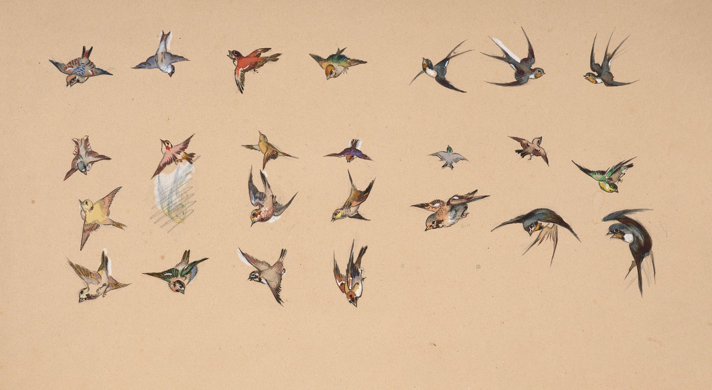 Félix Bracquemond - Study of polychrome birds