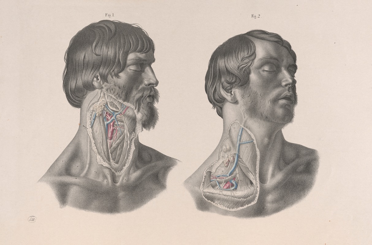 Joseph Maclise - Surgical anatomy Pl.07