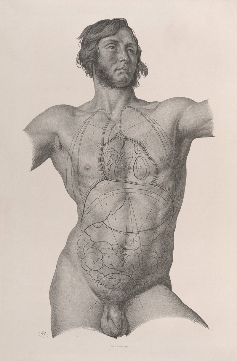 Joseph Maclise - Surgical anatomy Pl.25