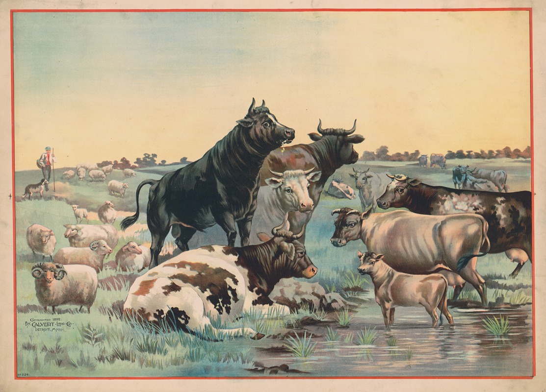 Calvert Litho. Co - Cows and sheep in a pasture, with six cows looking out at the viewer