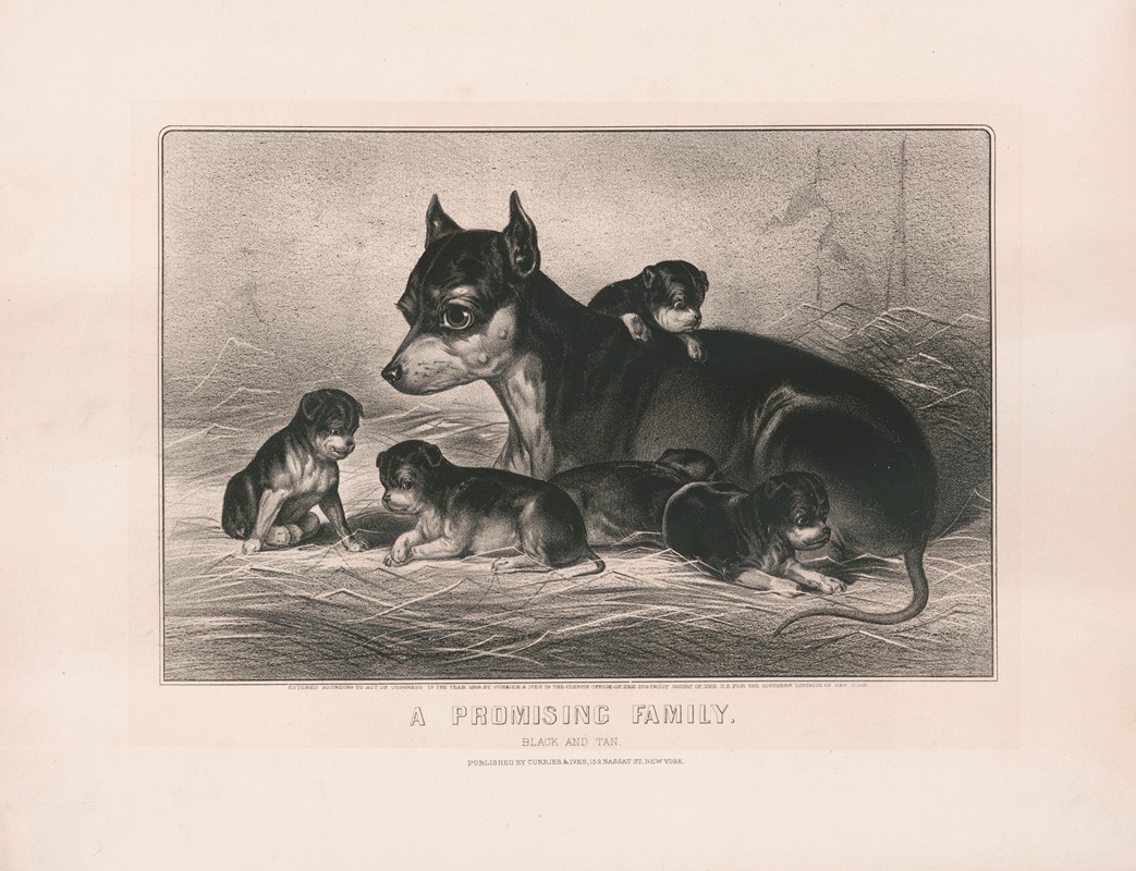 Currier & Ives. - A promising family; black and tan