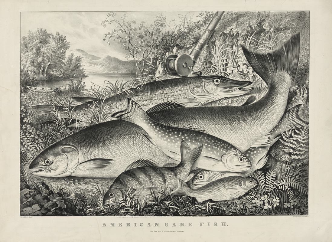 Currier & Ives. - American game fish