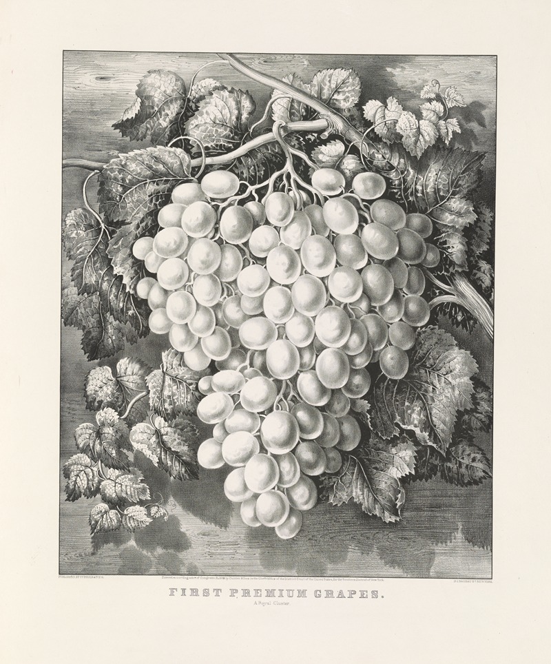 Currier & Ives. - First premium grapes; A royal cluster