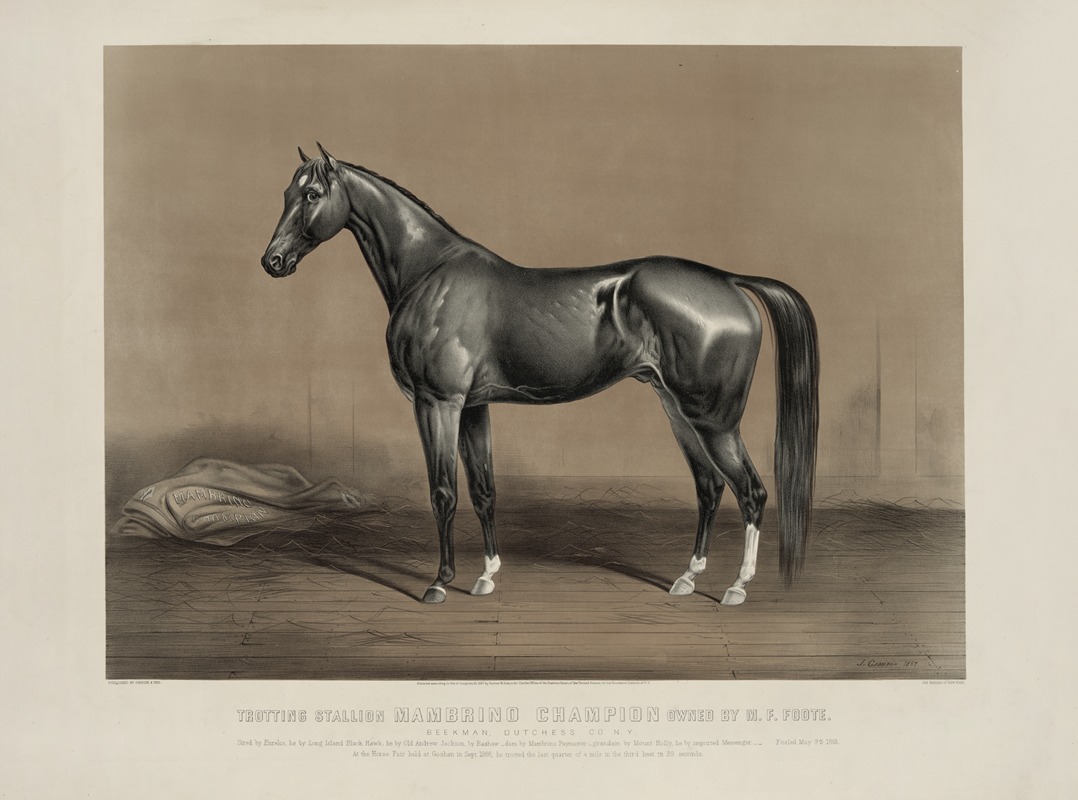 John Cameron - Trotting stallion Mambrino Champion owned by M.F. Foote