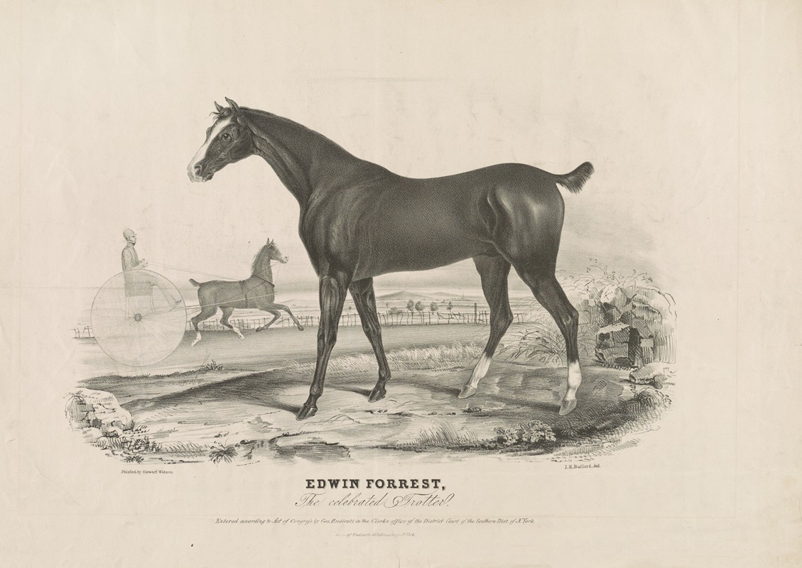 John H. Bufford's & Sons - Edwin Forrest, the celebrated trotter