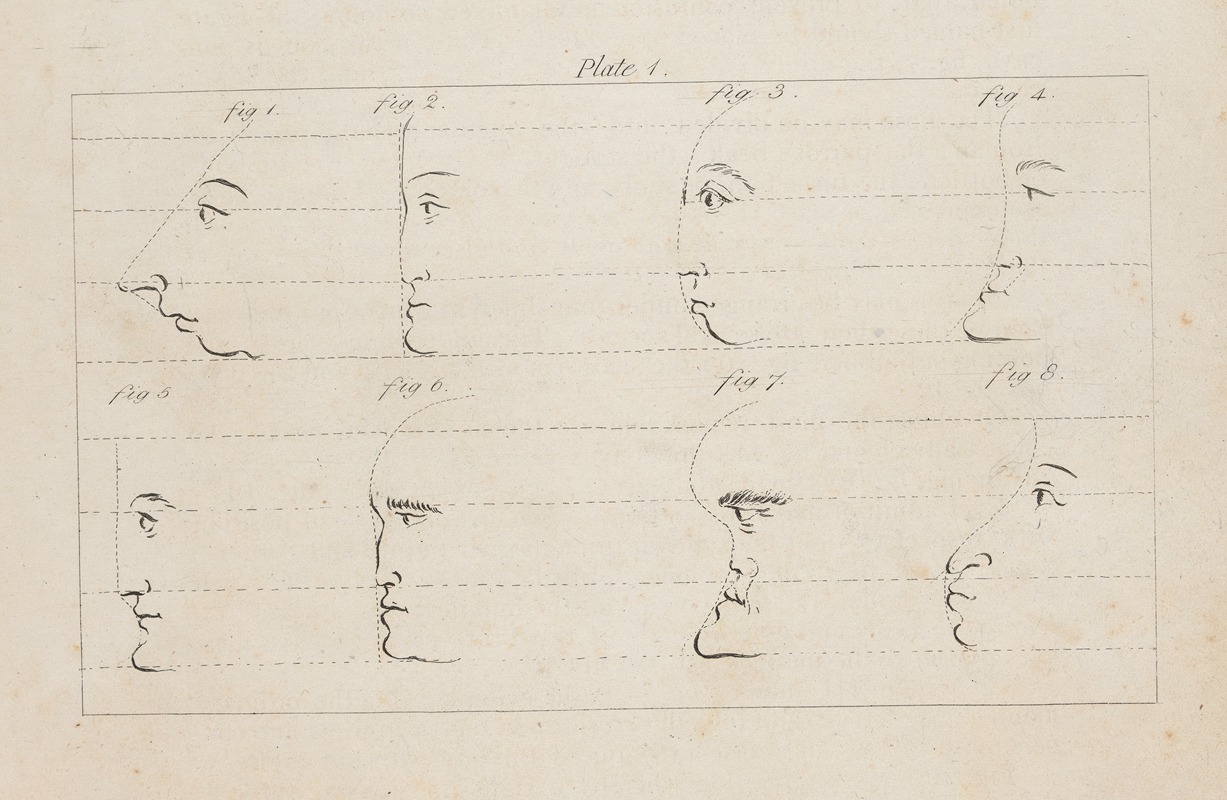 Francis Grose - Eight studies of facial profiles