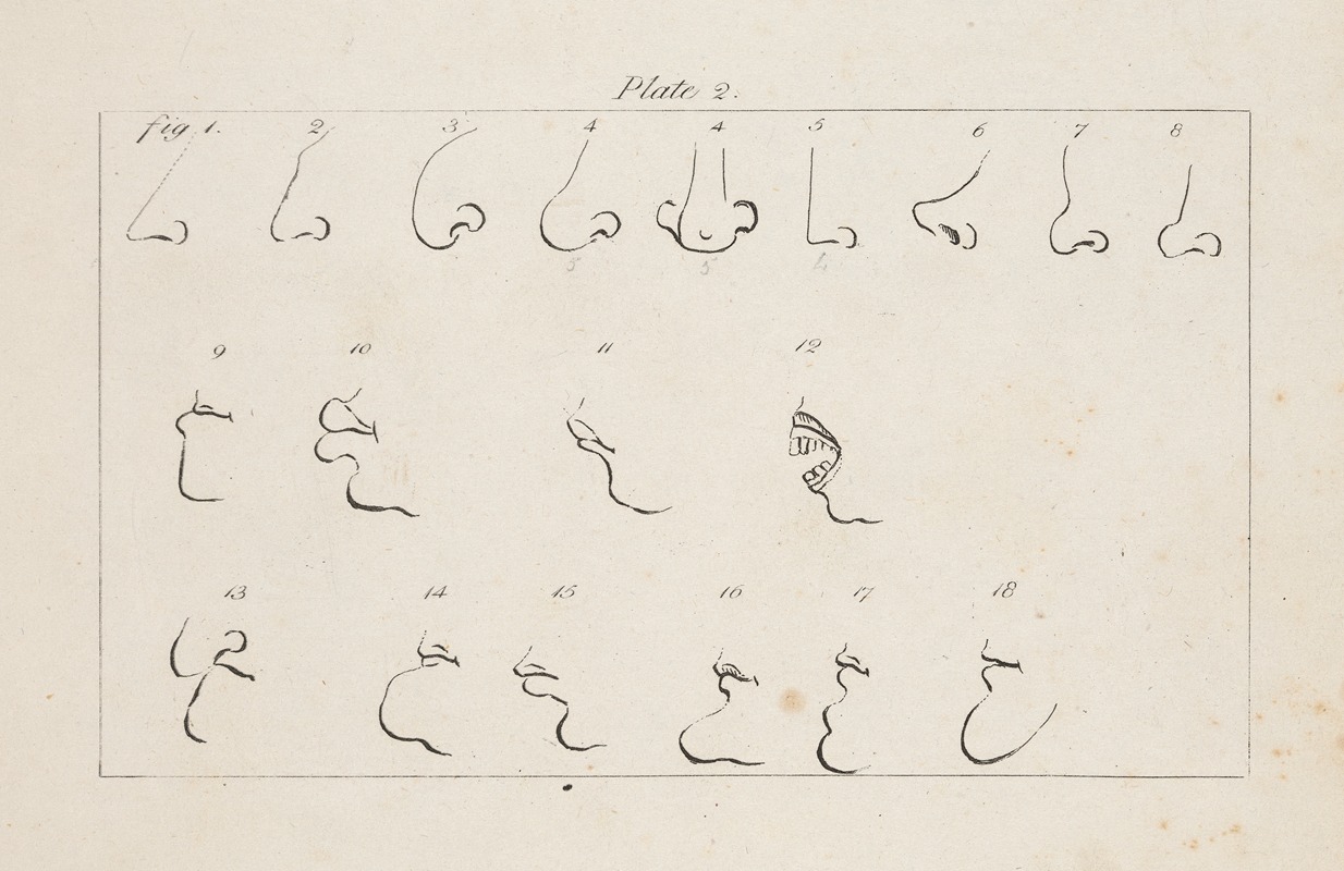 Francis Grose - Eighteen studies of facial features