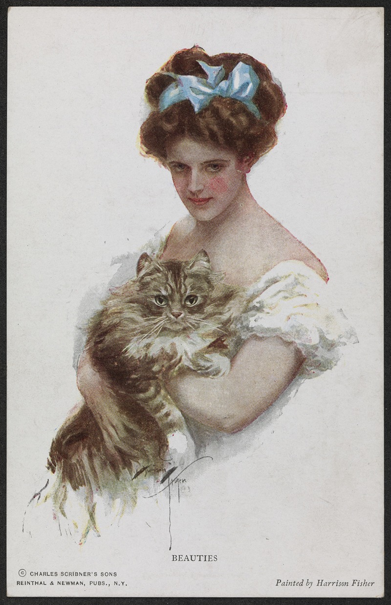 Harrison Fisher - Beauties