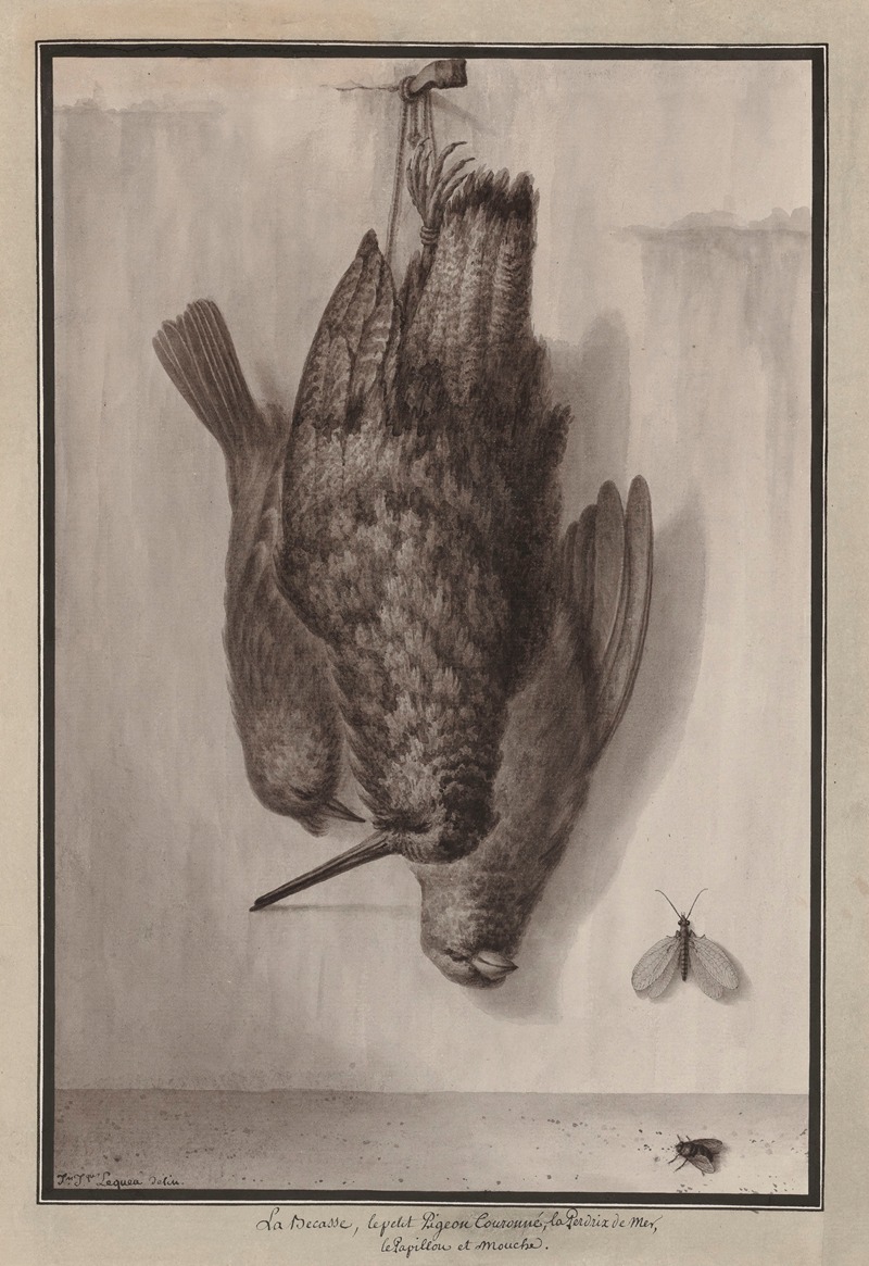 Jean Jacques Lequeu - La becasse, le petit pigeon couronné, la perdrix de mer, le papillon et mouche