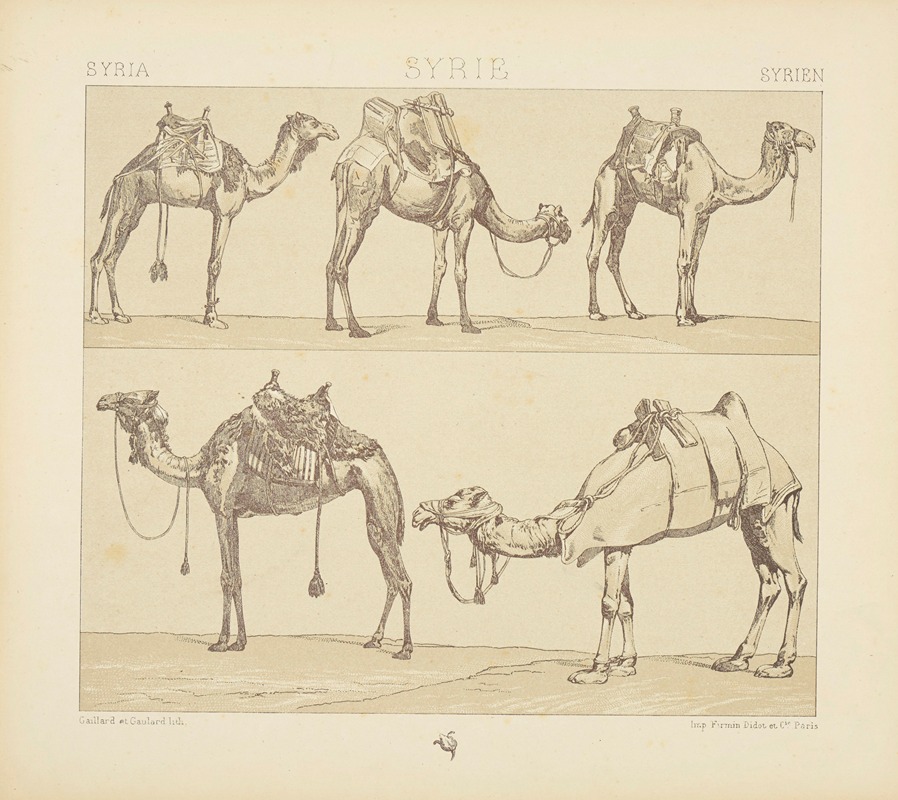 Auguste Racinet - Montures et animaux de transport