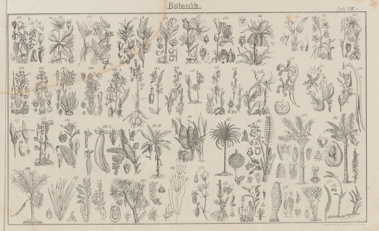 Heinrich August Pierer - Atlas der Abbildungen Pierer’s Universal Lexikon Pl.10