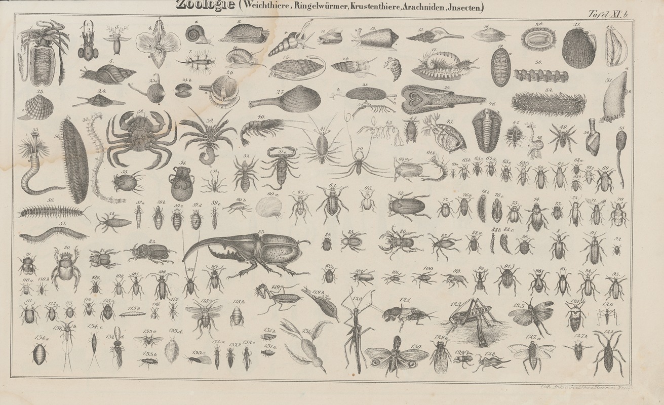 Heinrich August Pierer - Atlas der Abbildungen Pierer’s Universal Lexikon Pl.17