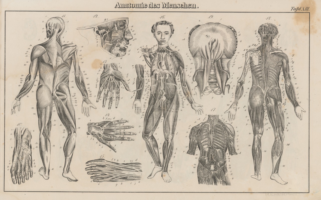 Heinrich August Pierer - Atlas der Abbildungen Pierer’s Universal Lexikon Pl.22