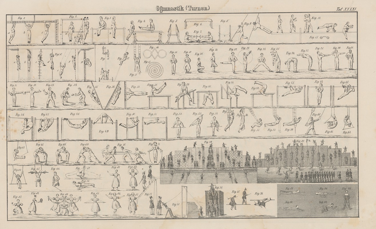 Heinrich August Pierer - Atlas der Abbildungen Pierer’s Universal Lexikon Pl.55