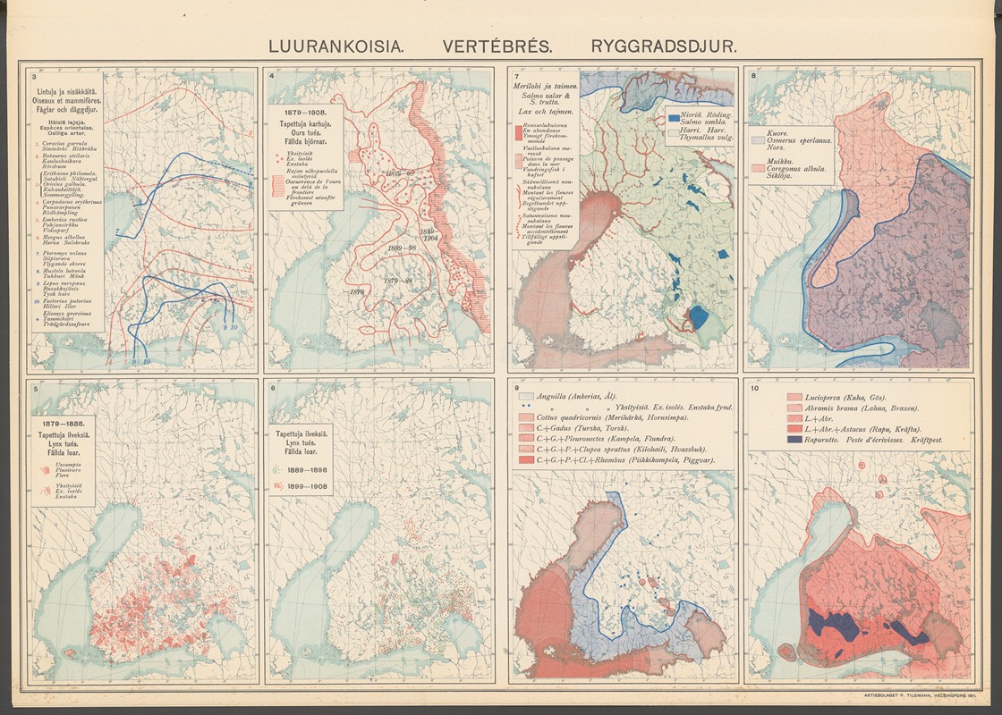Ferdinand Tilgmann - Atlas ofver Finland Pl.25