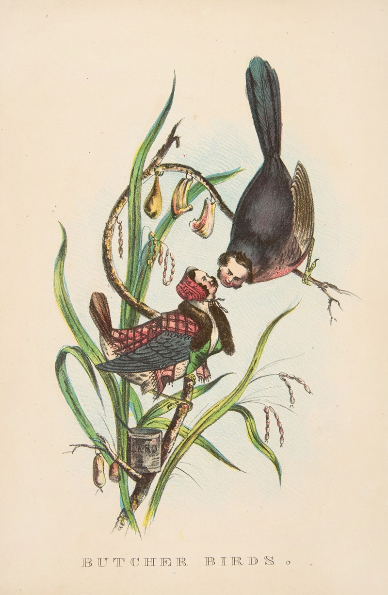 Henry Louis Stephens - Butcher Birds