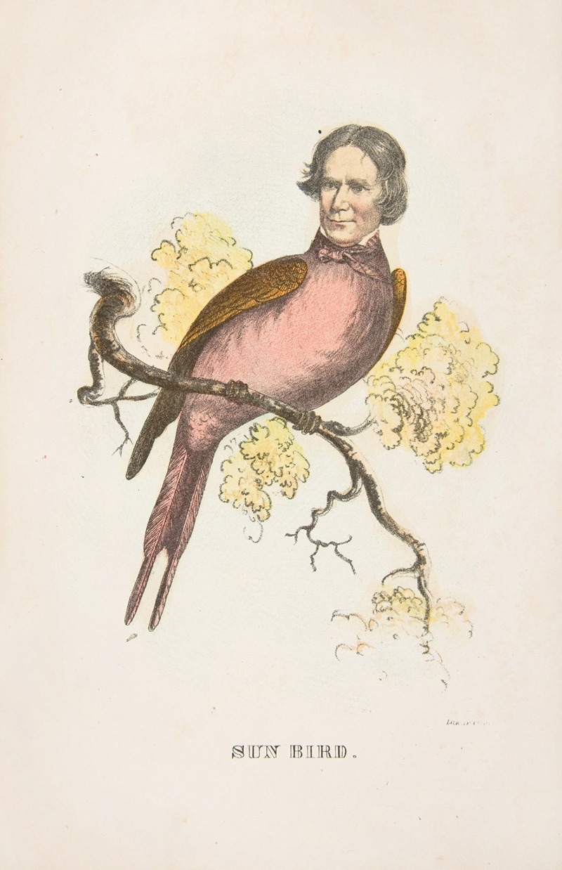 Henry Louis Stephens - Sun Bird (James S. Wallace)