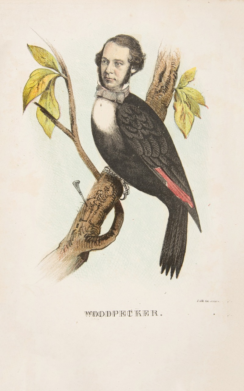 Henry Louis Stephens - Woodpecker (William B. Gihon)