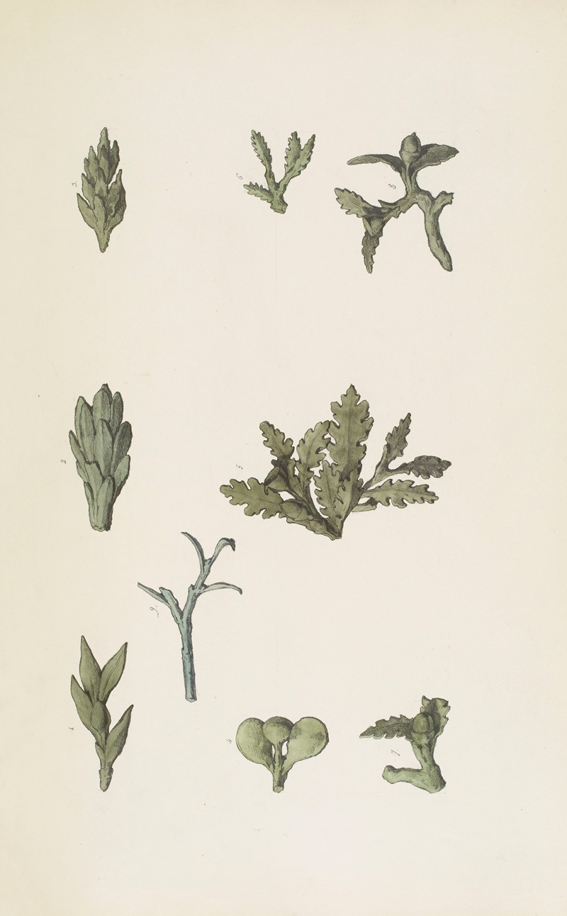 Jean-Baptiste Muret - Monuments antiques dessinés Pl.081