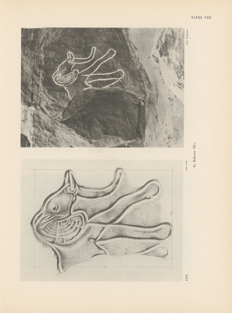 Leo Frobenius - Ekade Ektab die Felsbilder Fezzans Pl.14
