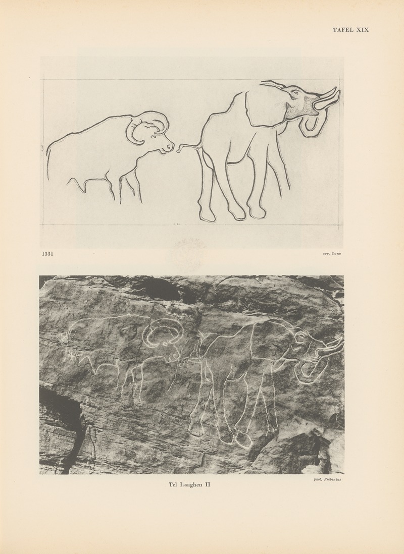 Leo Frobenius - Ekade Ektab die Felsbilder Fezzans Pl.22