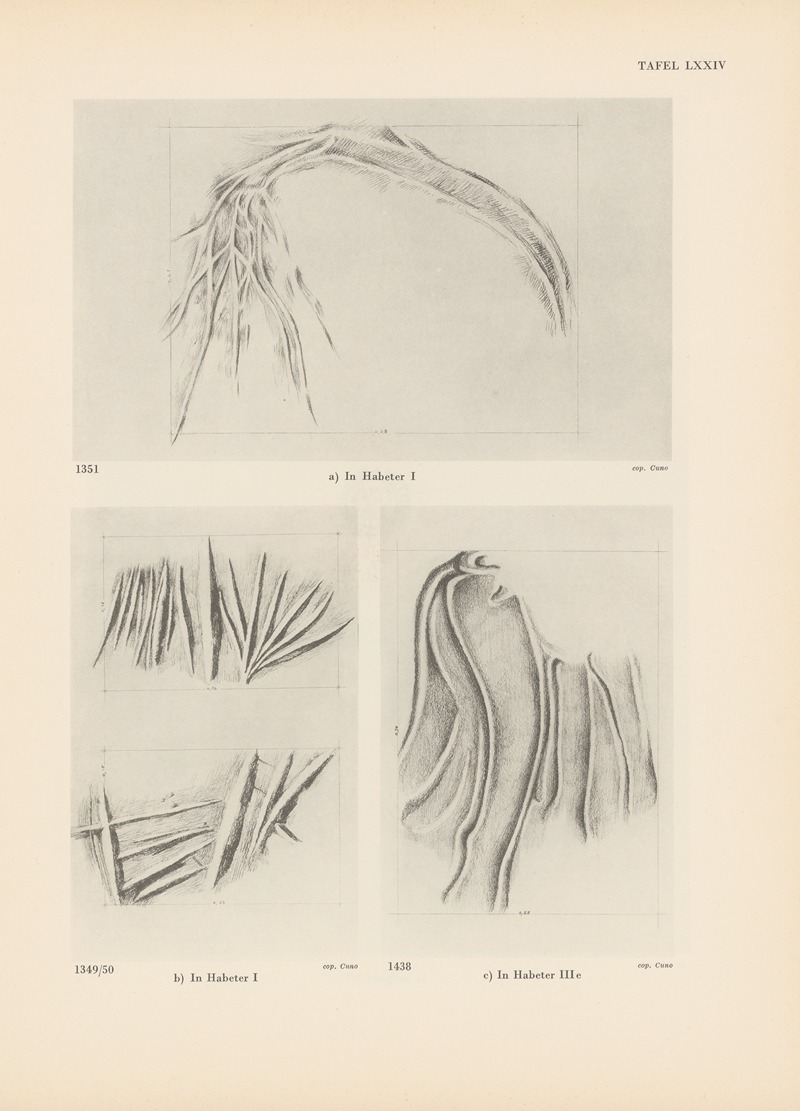 Leo Frobenius - Ekade Ektab die Felsbilder Fezzans Pl.68