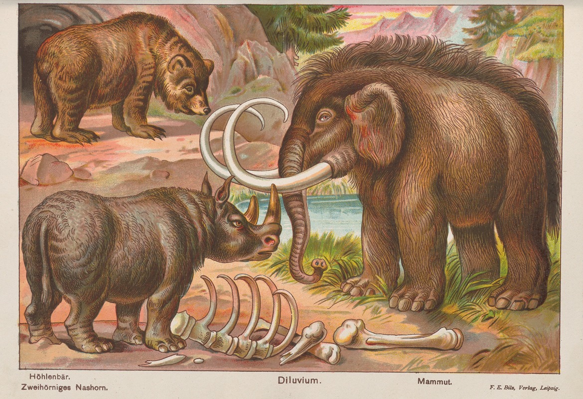 Oskar Hoffmann - Höhlenbär; Dilovium; Mammut