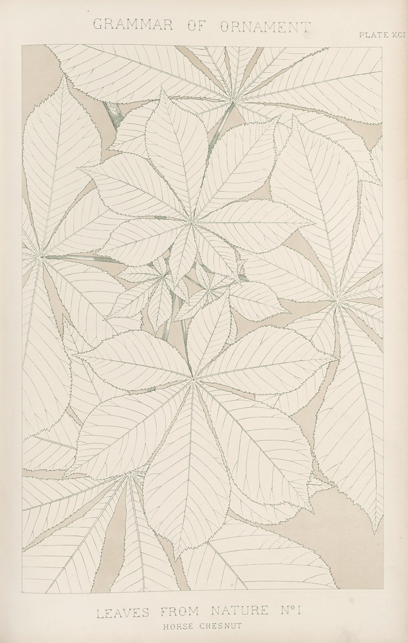Owen Jones - Leaves from Nature No. 1
