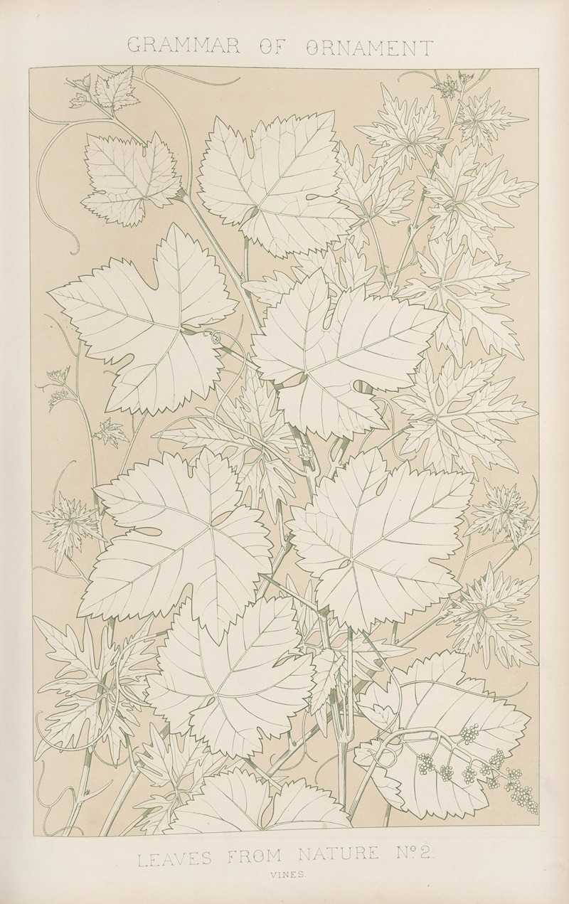 Owen Jones - Leaves from Nature No. 2