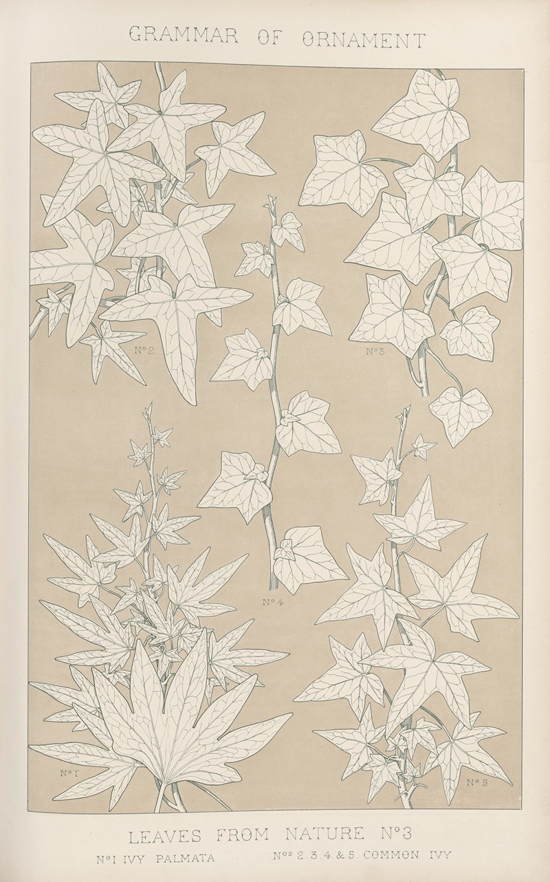 Owen Jones - Leaves from Nature No. 3