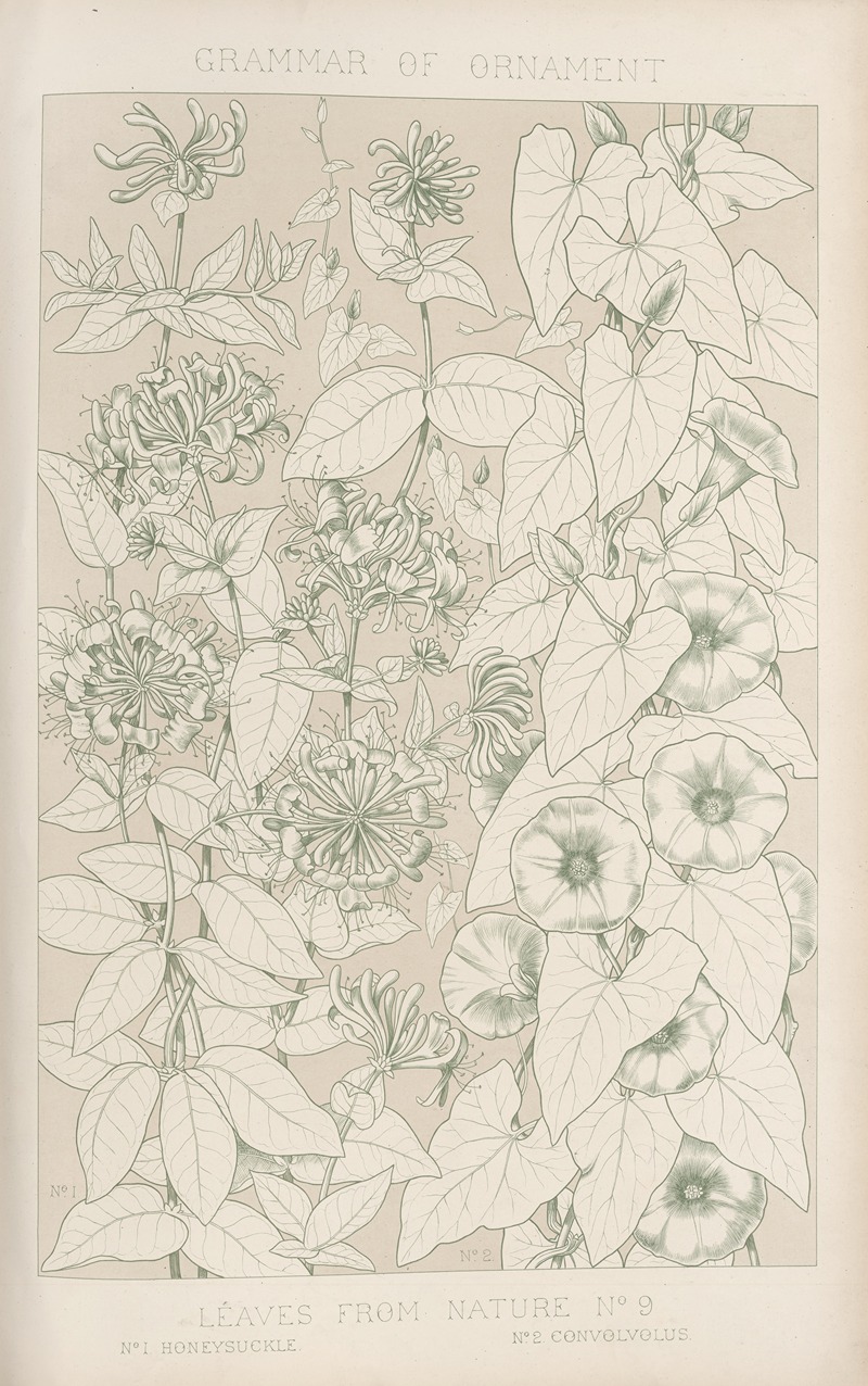 Owen Jones - Leaves from Nature No. 9