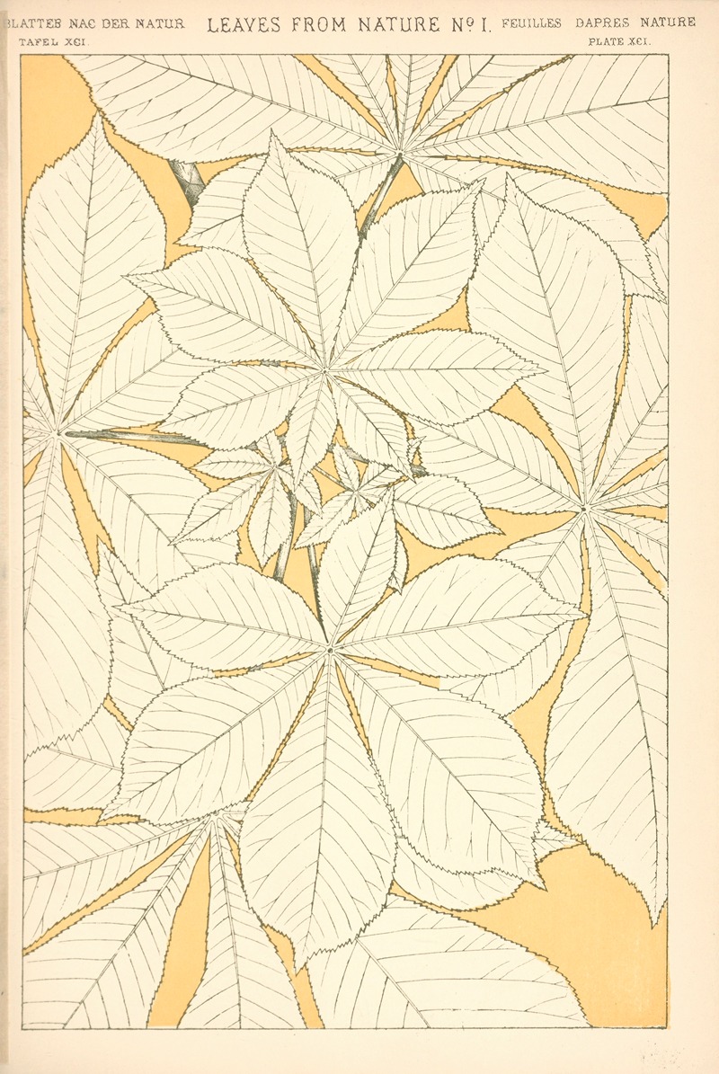 Owen Jones - Leaves from Nature No. 1