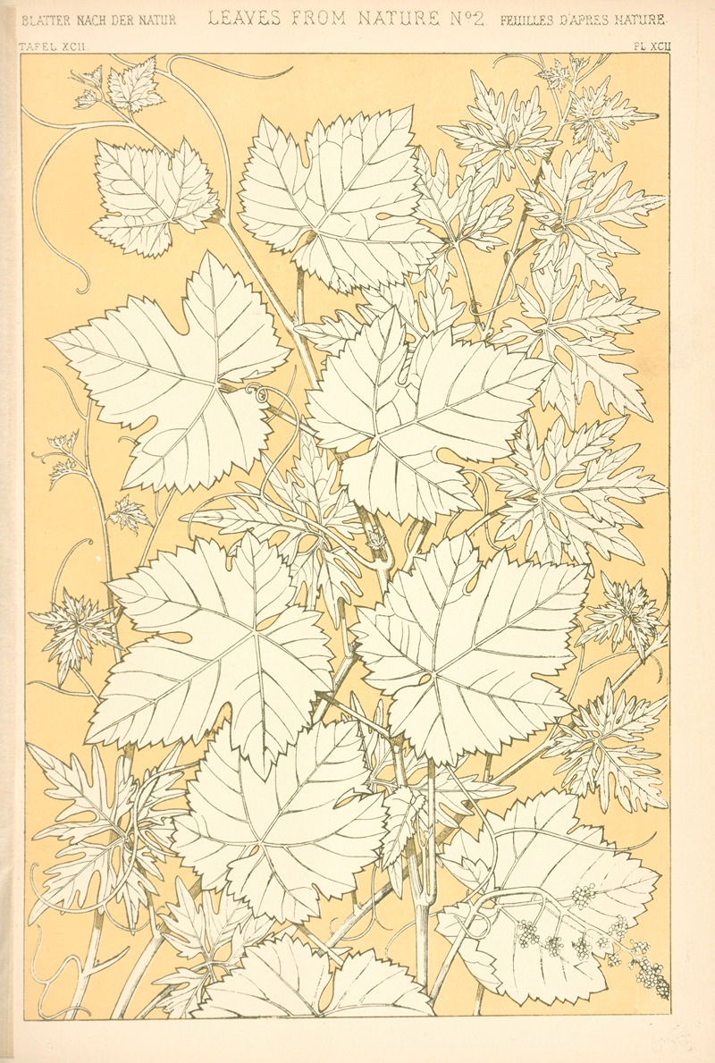 Owen Jones - Leaves from Nature No. 2